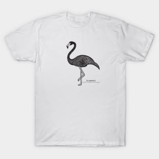 Flamingo with Common and Latin Names - detailed ink art bird design T-Shirt